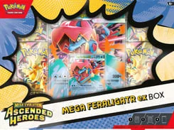 Ascended Heroes Mega Feraligatr ex Box artwork